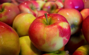 Gyenge lesz az idei termés, emelkedhet az alma ára