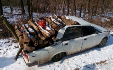 Brutálisan megpakolták lopott fával a Ladát - FOTÓK