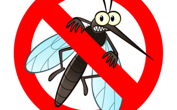 OKF: hét régióban folytatódik a szúnyogirtás