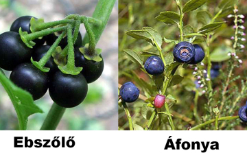Egészségkárosodást okozó