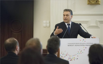 12 milliárd forintos agykutatási program indul 