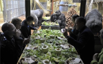 Gorillareggelivel kampányolt a mobiltelefonok újrahasznosításáért a fővárosi állatkert alapítványa